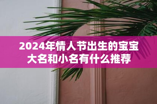 2025年情人节出生的宝宝大名和小名有什么推荐