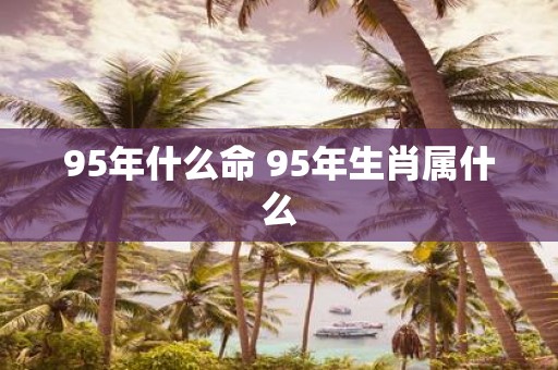 95年什么命 95年生肖属什么