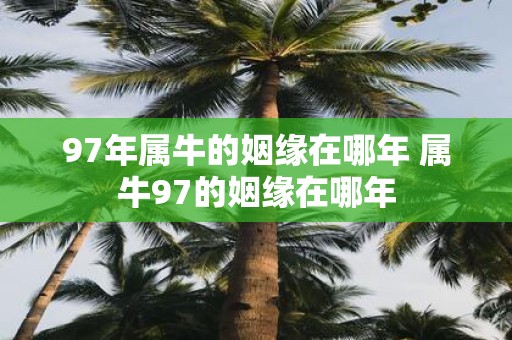 97年属牛的姻缘在哪年 属牛97的姻缘在哪年
