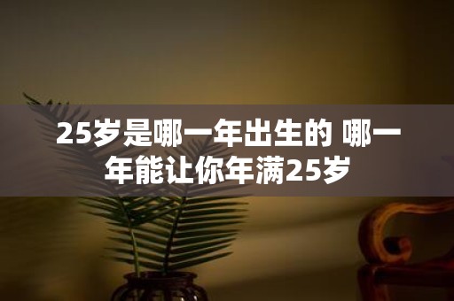 25岁是哪一年出生的 哪一年能让你年满25岁
