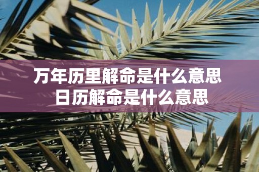 万年历里解命是什么意思 日历解命是什么意思