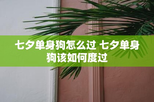 七夕单身狗怎么过 七夕单身狗该如何度过