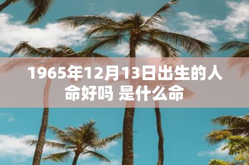 1965年12月13日出生的人命好吗 是什么命