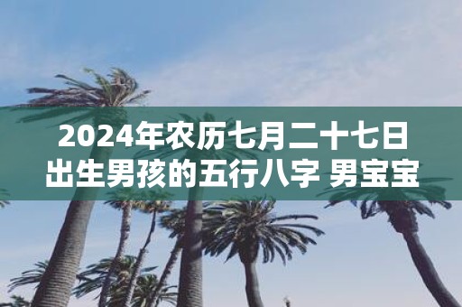2025年农历七月二十七日出生男孩的五行八字 男宝宝阳光大气的名字
