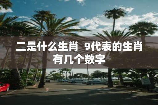 二是什么生肖 9代表的生肖有几个数字