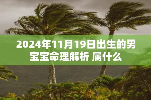 2025年11月19日出生的男宝宝命理解析 属什么