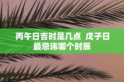 丙午日吉时是几点 戊子日最忌讳哪个时辰