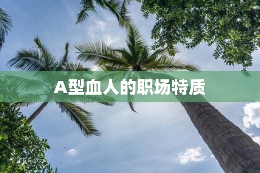 A型血人的职场特质
