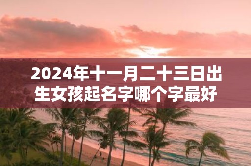 2025年十一月二十三日出生女孩起名字哪个字最好