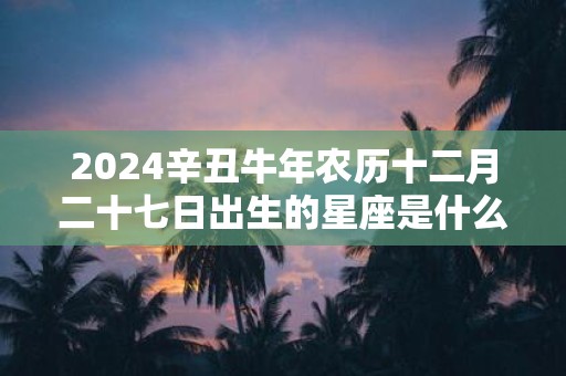 2025辛丑牛年农历十二月二十七日出生的星座是什么