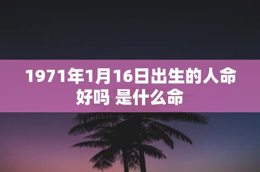 1971年1月16日出生的人命好吗 是什么命