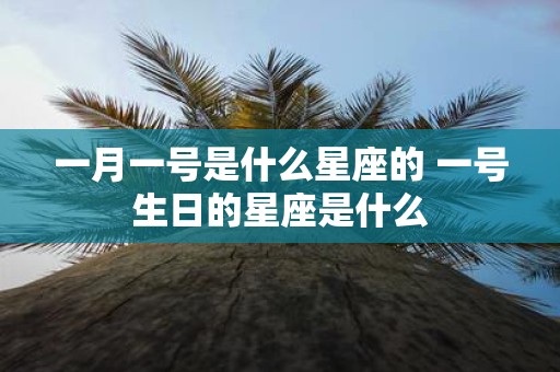 一月一号是什么星座的 一号生日的星座是什么