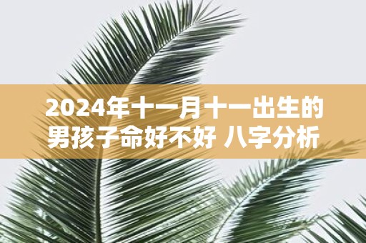2025年十一月十一出生的男孩子命好不好 八字分析