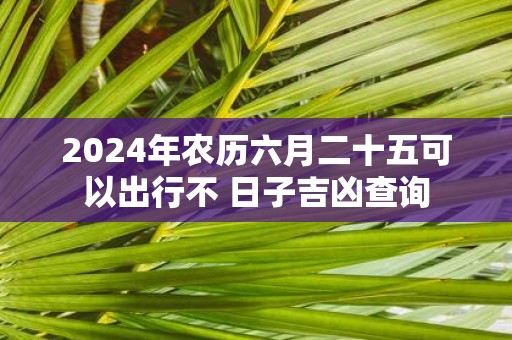 2025年农历六月二十五可以出行不 日子吉凶查询