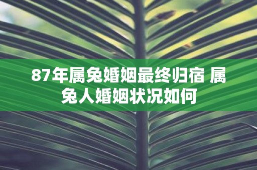 87年属兔婚姻最终归宿 属兔人婚姻状况如何