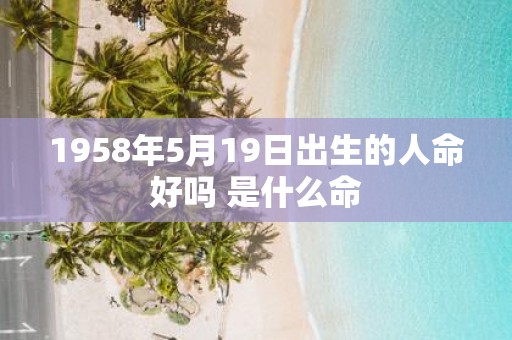 1958年5月19日出生的人命好吗 是什么命