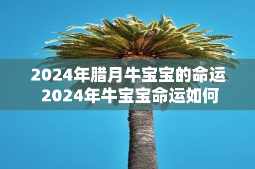 2025年腊月牛宝宝的命运 2025年牛宝宝命运如何