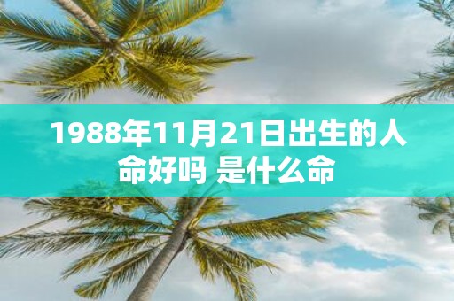 1988年11月21日出生的人命好吗 是什么命