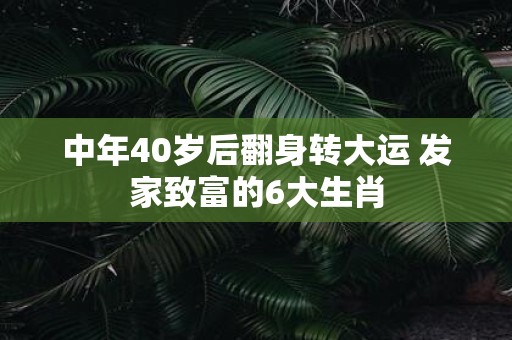 中年40岁后翻身转大运 发家致富的6大生肖