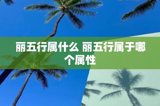 丽五行属什么 丽五行属于哪个属性