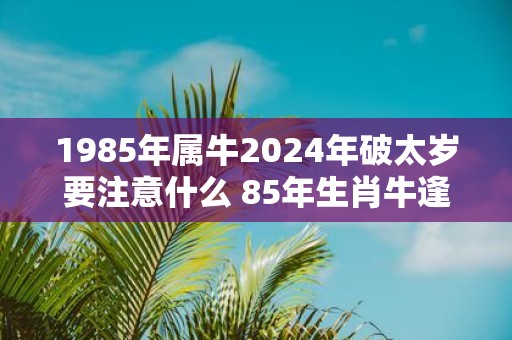 1985年属牛2025年破太岁要注意什么 85年生肖牛逢蛇年运气如何
