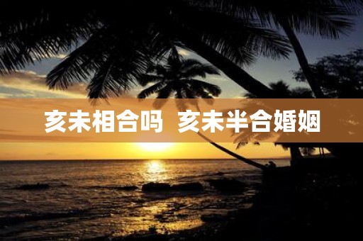 亥未相合吗 亥未半合婚姻
