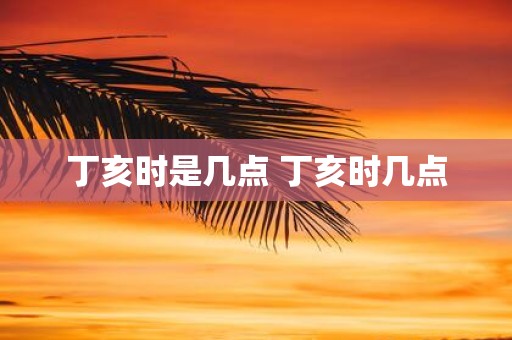 丁亥时是几点 丁亥时几点