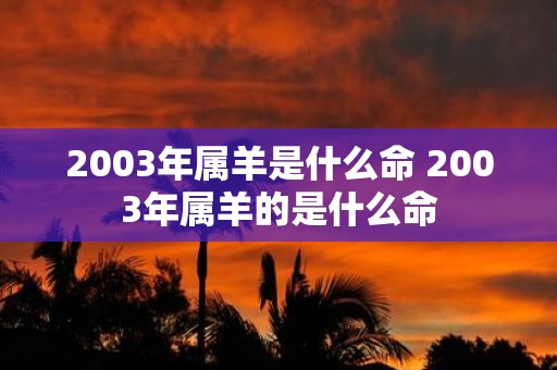 2003年属羊是什么命 2003年属羊的是什么命