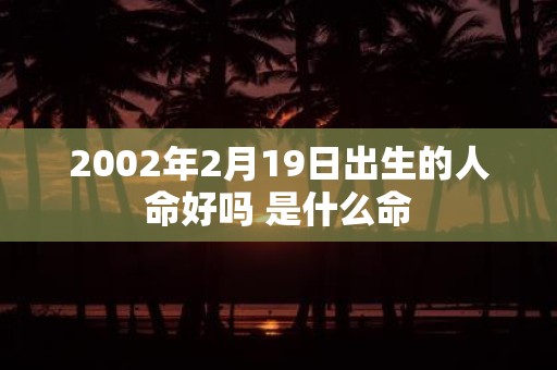 2002年2月19日出生的人命好吗 是什么命