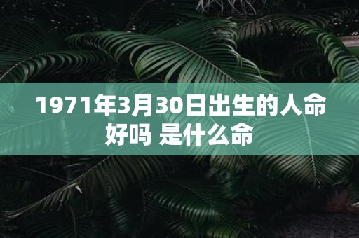 1971年3月30日出生的人命好吗 是什么命