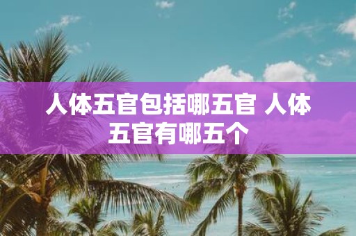 人体五官包括哪五官 人体五官有哪五个
