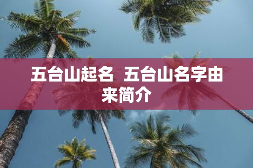 五台山起名 五台山名字由来简介