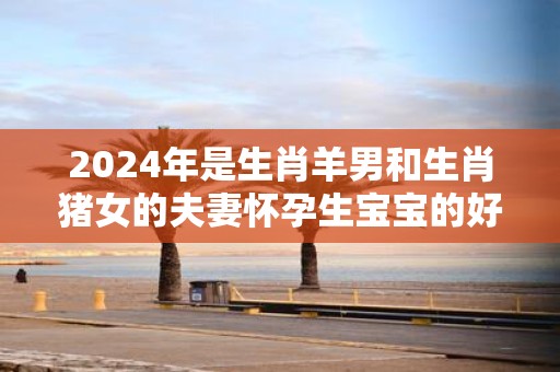 2025年是生肖羊男和生肖猪女的夫妻怀孕生宝宝的好年份吗