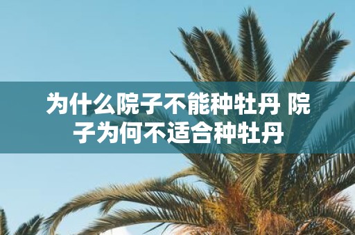 为什么院子不能种牡丹 院子为何不适合种牡丹