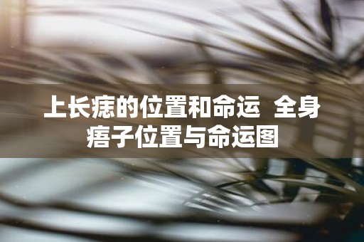上长痣的位置和命运 全身痦子位置与命运图