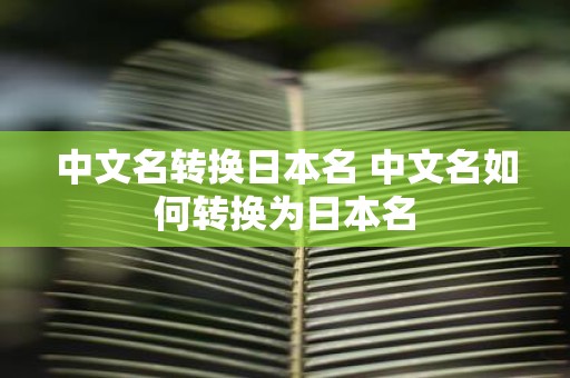 中文名转换日本名 中文名如何转换为日本名