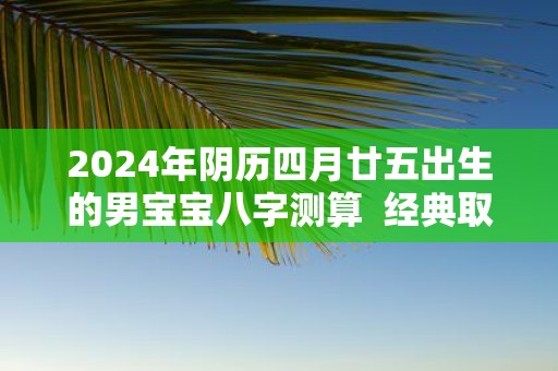 2025年阴历四月廿五出生的男宝宝八字测算 经典取名
