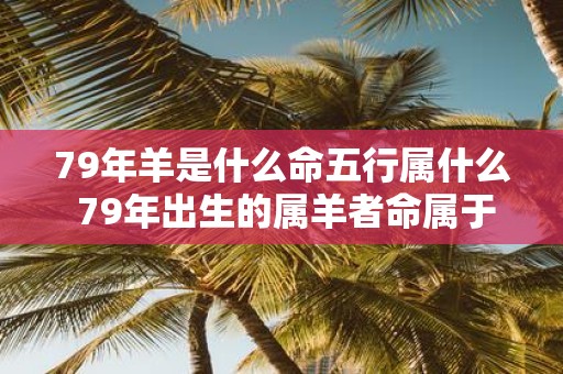 79年羊是什么命五行属什么 79年出生的属羊者命属于哪五行
