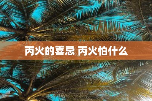 丙火的喜忌 丙火怕什么