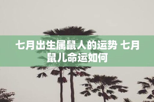 七月出生属鼠人的运势 七月鼠儿命运如何