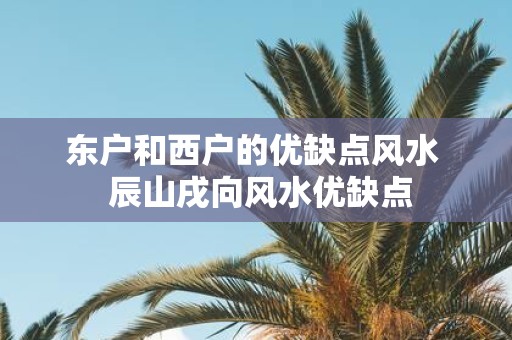 东户和西户的优缺点风水 辰山戌向风水优缺点