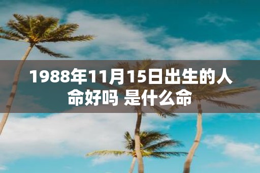 1988年11月15日出生的人命好吗 是什么命