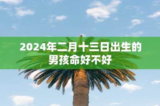 2025年二月十三日出生的男孩命好不好