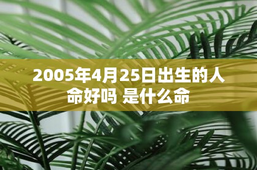 2005年4月25日出生的人命好吗 是什么命