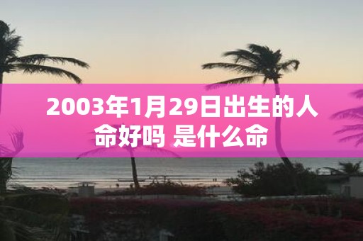 2003年1月29日出生的人命好吗 是什么命
