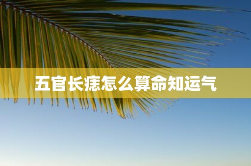 五官长痣怎么算命知运气