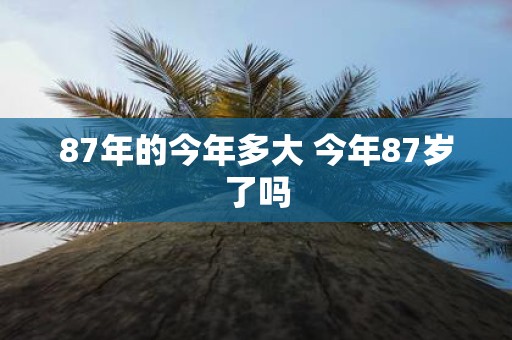 87年的今年多大 今年87岁了吗