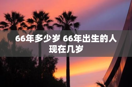 66年多少岁 66年出生的人现在几岁