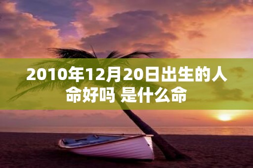 2010年12月20日出生的人命好吗 是什么命