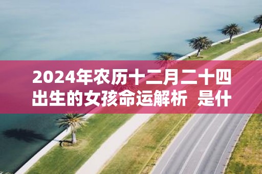 2025年农历十二月二十四出生的女孩命运解析 是什么星座